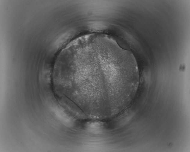 X0000113760452200910211213