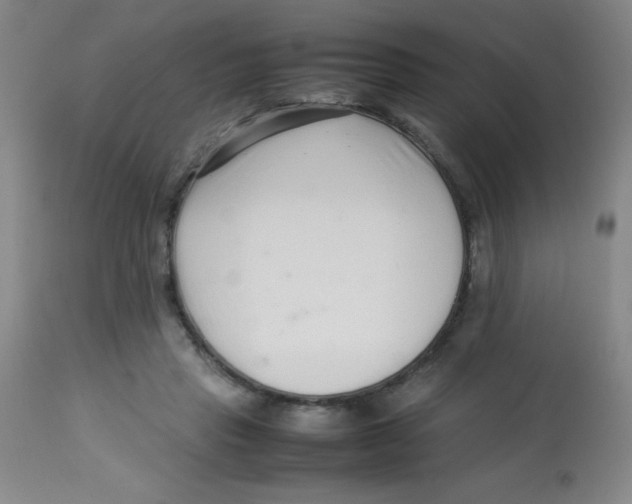 X0000113760453200910211213