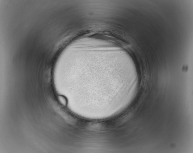 X0000113760454200910211213