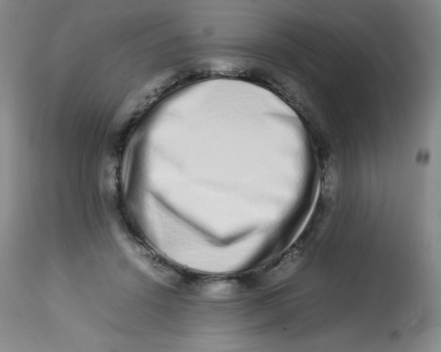 X0000113760456200910211213