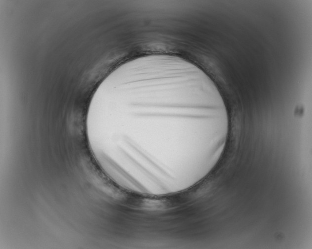 X0000113760457200910211213