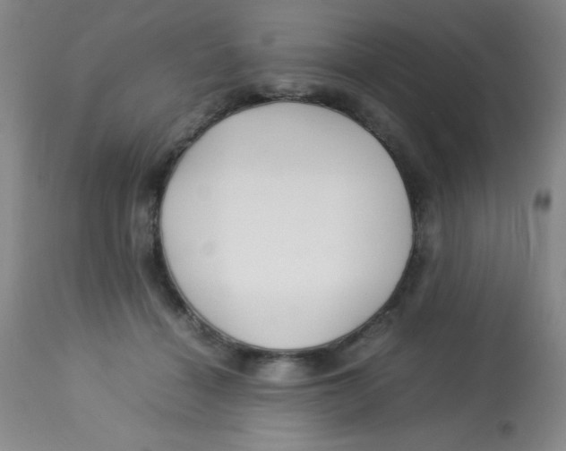 X0000113760460200910211213