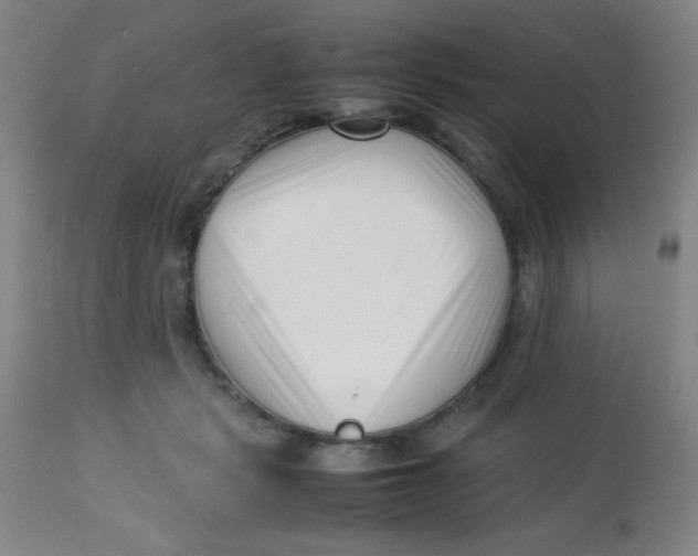 X0000113760461200910211213