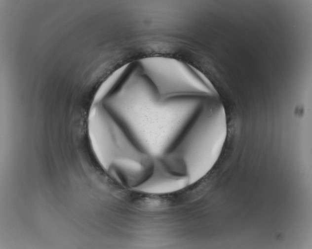 X0000113760464200910211213