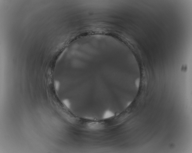 X0000113760465200910211213