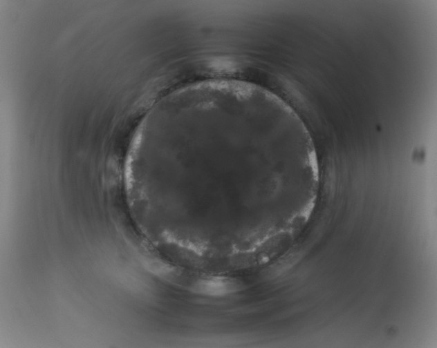 X0000113760467200910211213