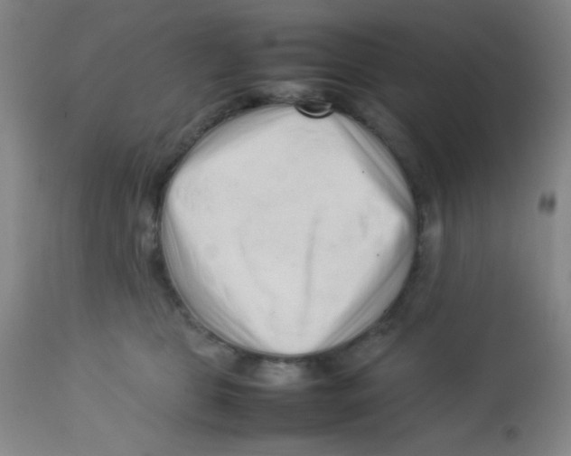 X0000113760469200910211213
