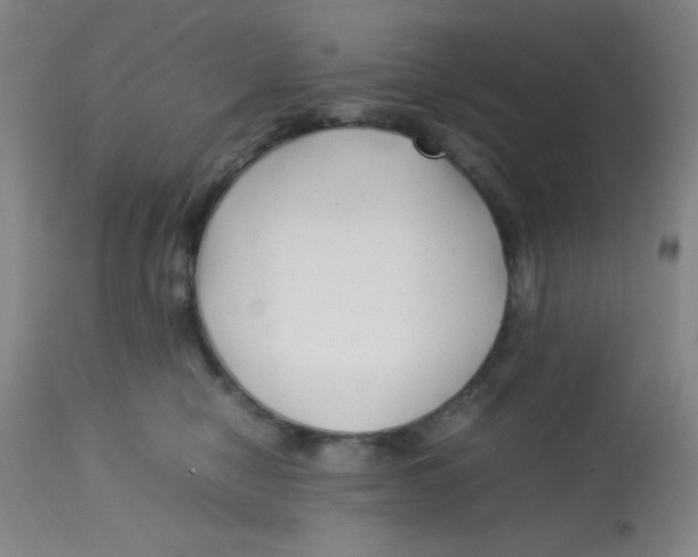 X0000113760470200910211213