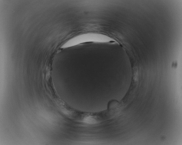 X0000113760471200910211213