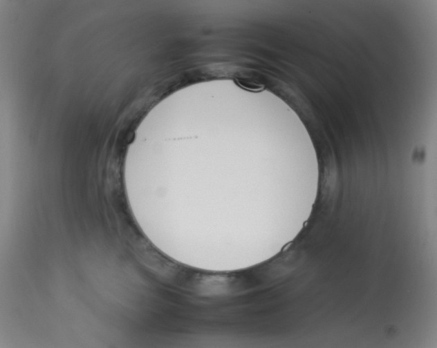 X0000113760473200910211213