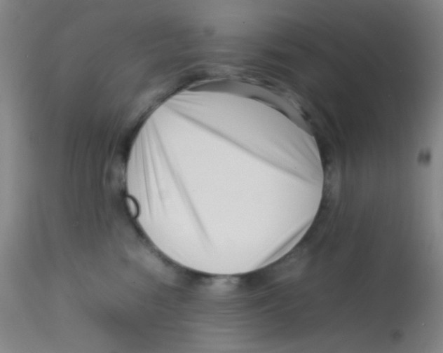 X0000113760474200910211213