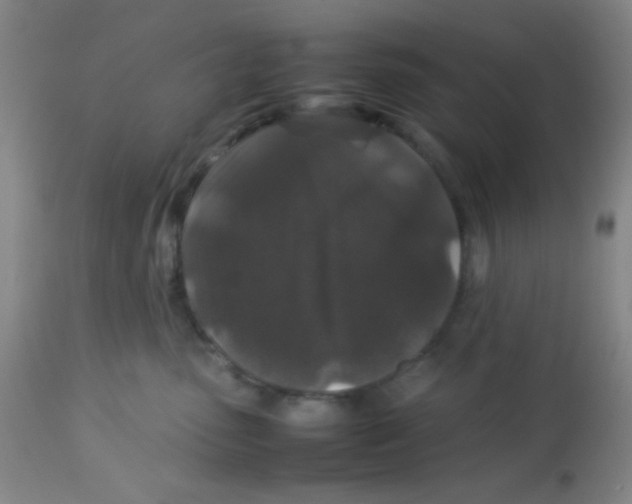 X0000113760475200910211213