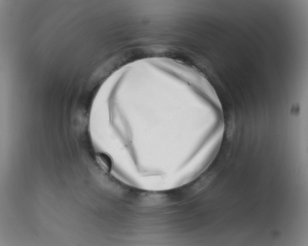 X0000113760476200910211213