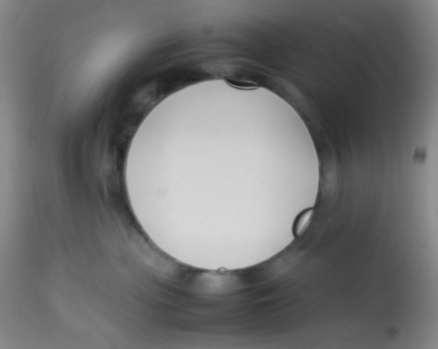 X0000113760477200910211213