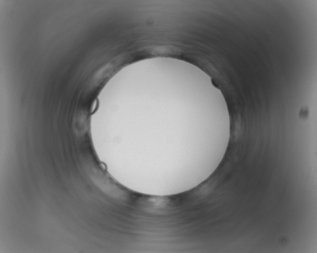 X0000113760478200910211213