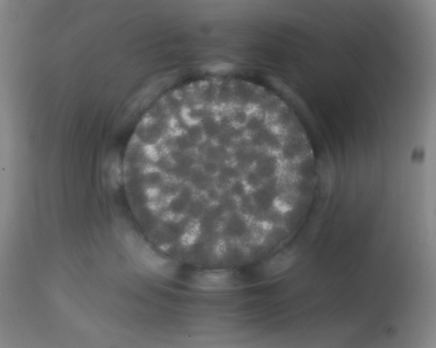 X0000113760479200910211213