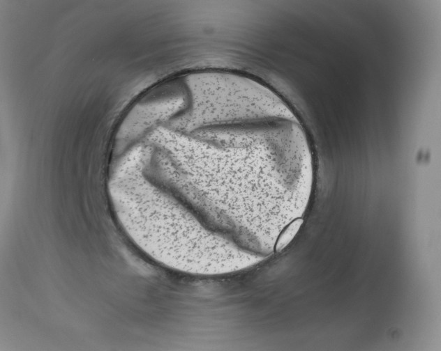 X0000113760481200910211213