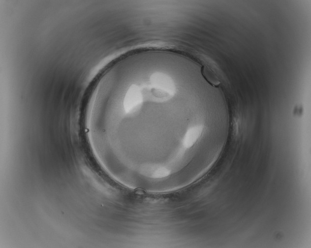 X0000113760484200910211213