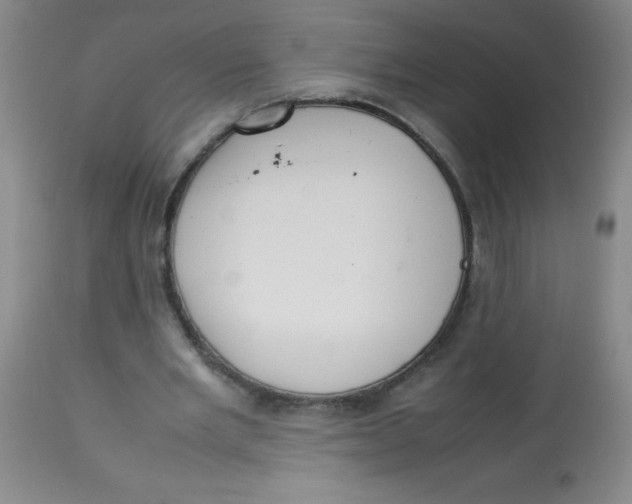 X0000113760485200910211213