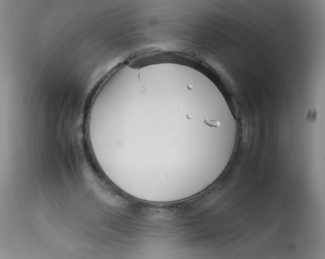 X0000113760486200910211213
