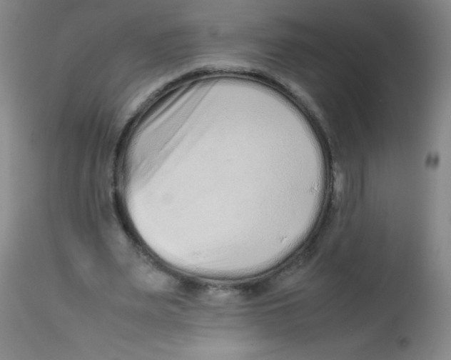 X0000113760487200910211213