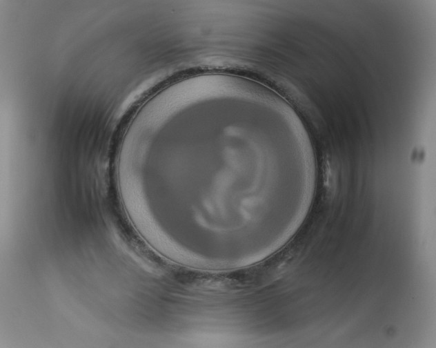 X0000113760488200910211213