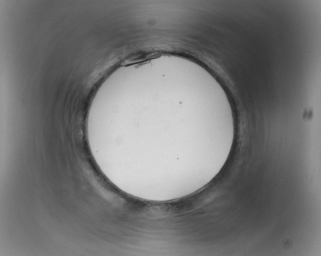 X0000113760489200910211213