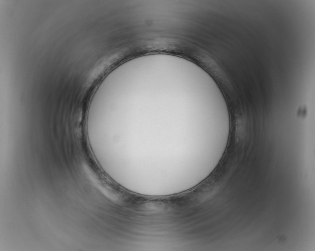 X0000113760490200910211213