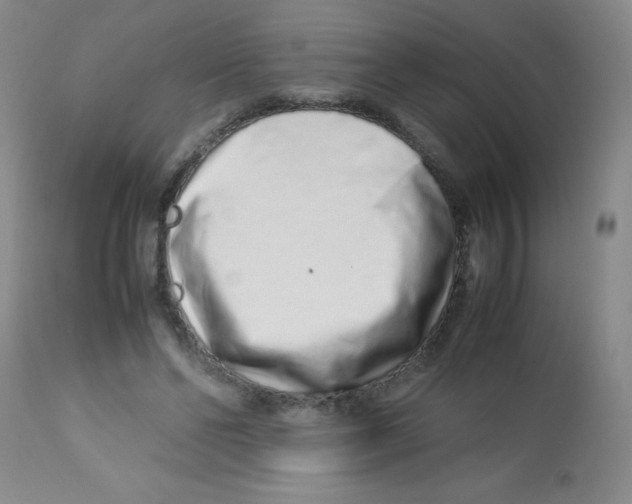 X0000113760494200910211212