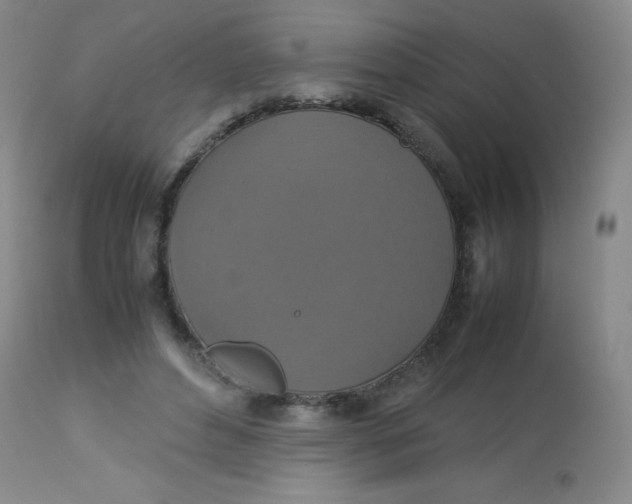 X0000113760496200910211212