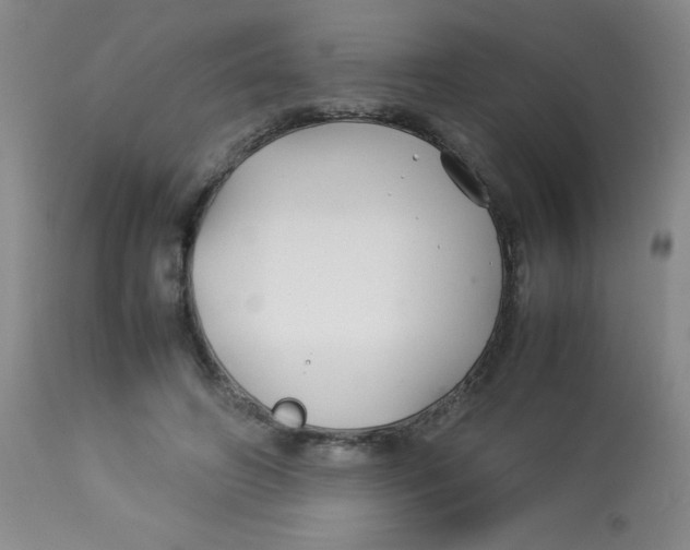 X0000113760498200910211212