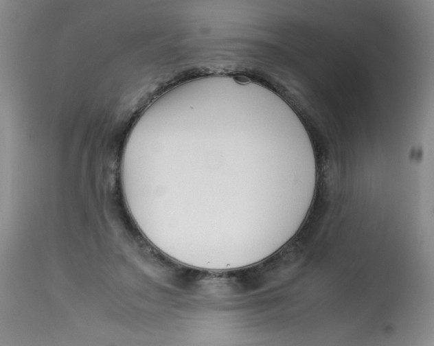 X0000113760499200910211212