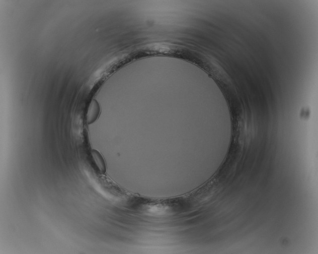 X0000113760500200910211212