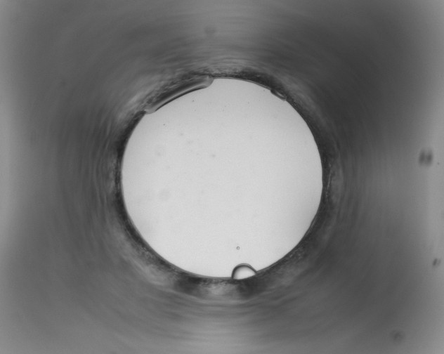 X0000113760501200910211212