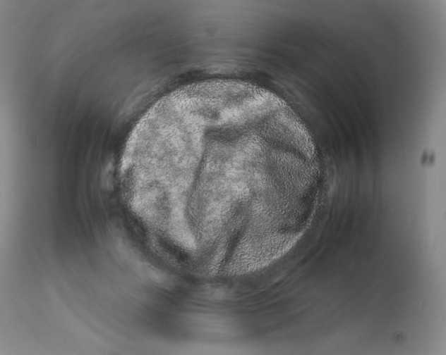X0000113760502200910211212