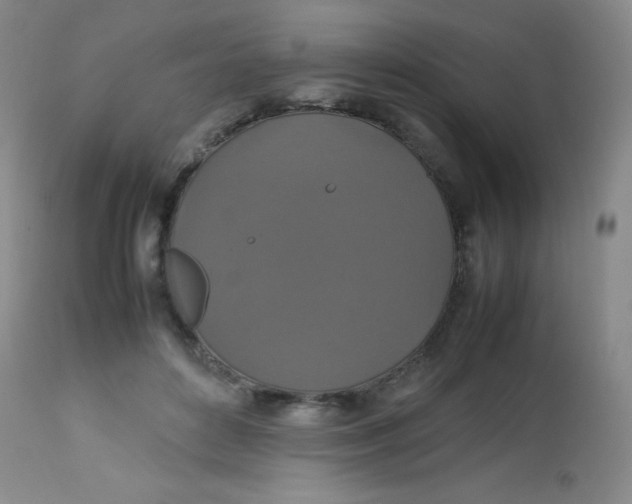 X0000113760504200910211212