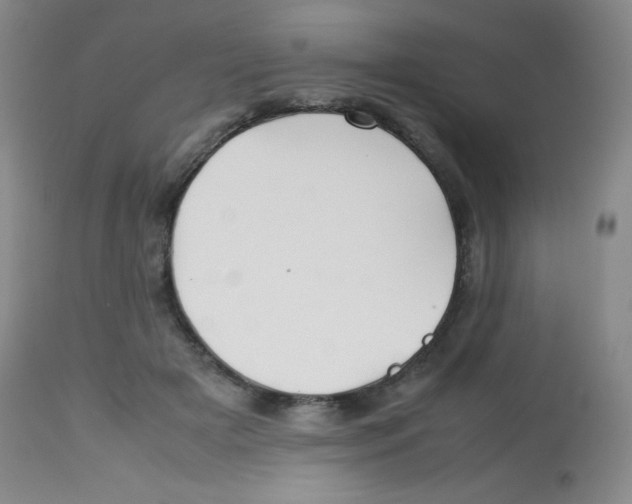 X0000113760505200910211212