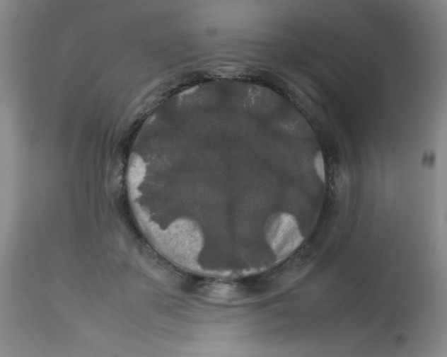 X0000113760507200910211212