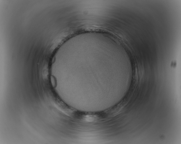 X0000113760508200910211212