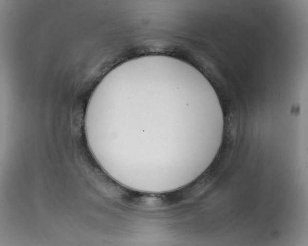 X0000113760509200910211212