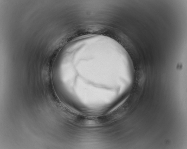 X0000113760510200910211212