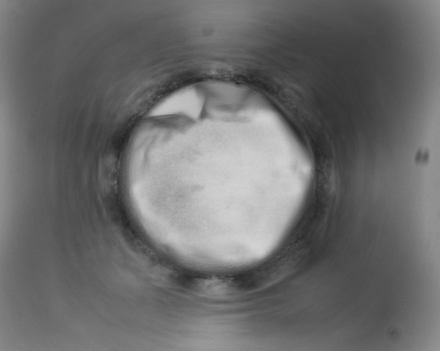 X0000113760511200910211212