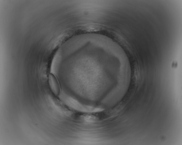 X0000113760512200910211212