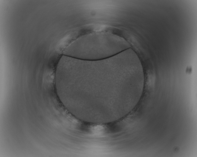 X0000113760513200910211212