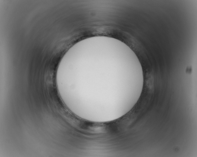 X0000113760514200910211212