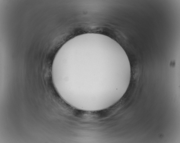 X0000113760515200910211212