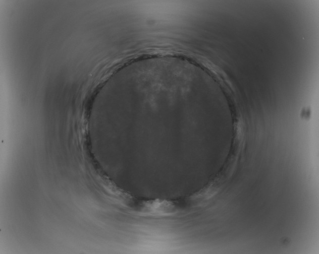 X0000113760517200910211212