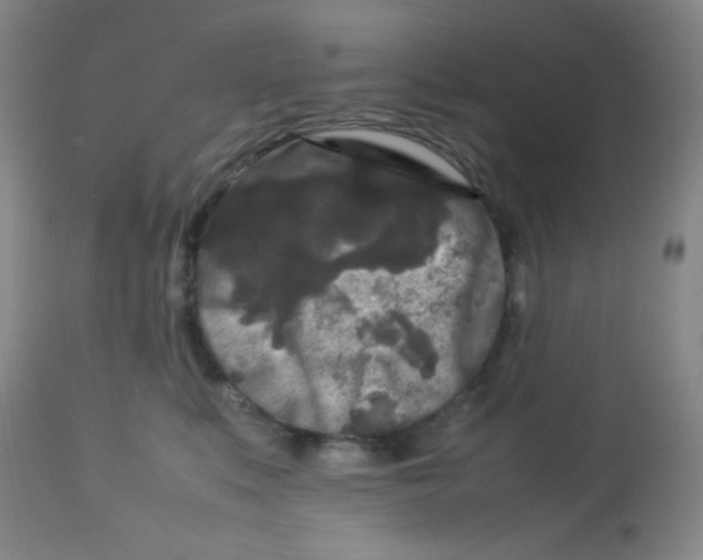 X0000113760519200910211212