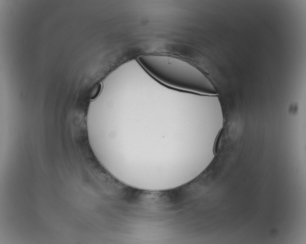 X0000113760521200910211212
