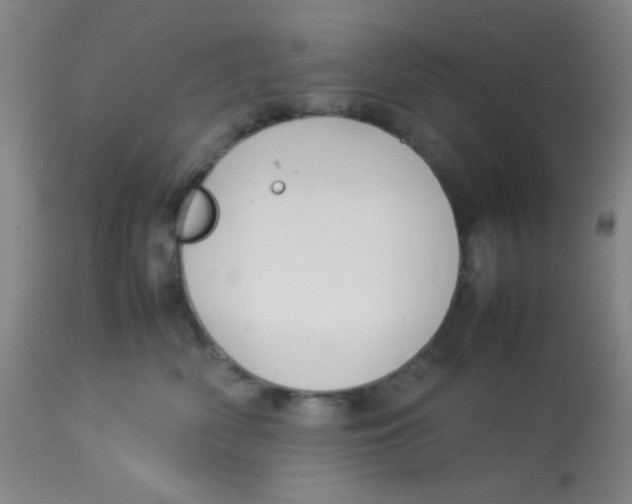 X0000113760522200910211212